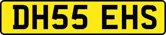 DH55EHS