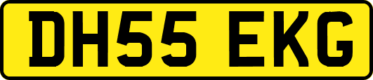 DH55EKG