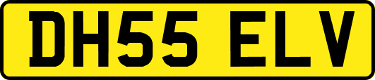 DH55ELV