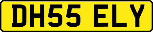 DH55ELY