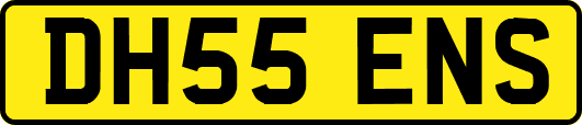 DH55ENS