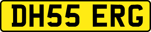 DH55ERG