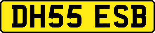 DH55ESB