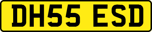 DH55ESD