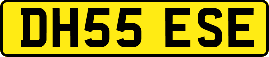 DH55ESE