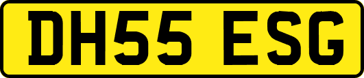 DH55ESG