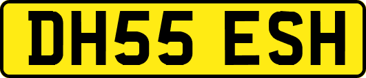 DH55ESH