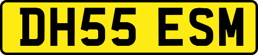 DH55ESM