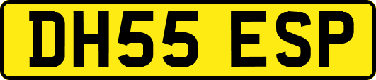 DH55ESP