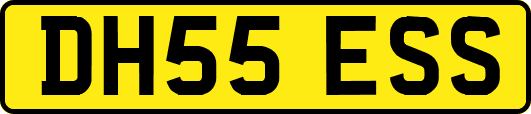 DH55ESS