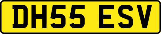 DH55ESV