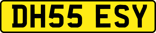 DH55ESY