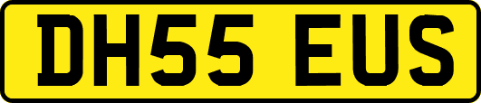 DH55EUS