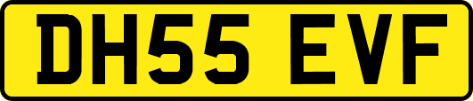 DH55EVF