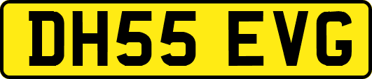 DH55EVG