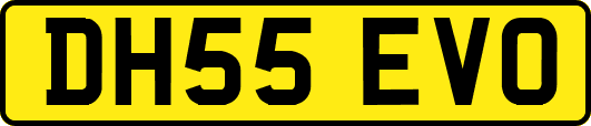 DH55EVO