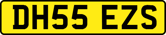 DH55EZS