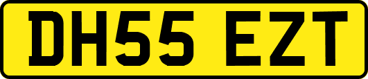 DH55EZT