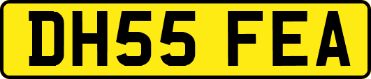 DH55FEA