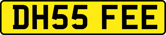 DH55FEE
