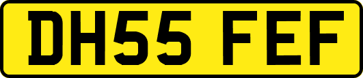 DH55FEF