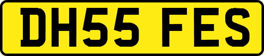 DH55FES