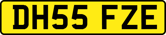 DH55FZE