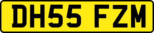 DH55FZM
