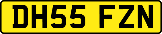 DH55FZN
