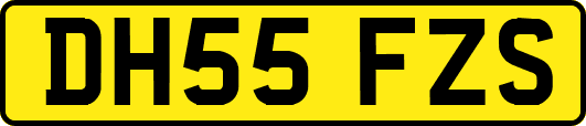 DH55FZS