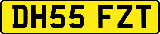DH55FZT