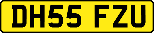 DH55FZU