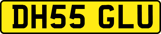 DH55GLU