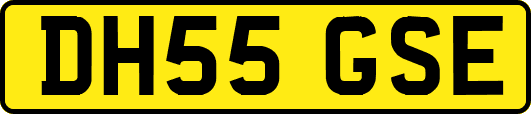 DH55GSE