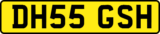 DH55GSH