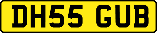 DH55GUB