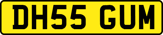 DH55GUM