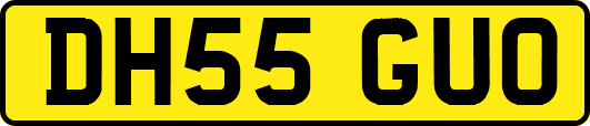 DH55GUO