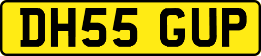 DH55GUP