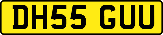 DH55GUU