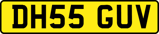 DH55GUV