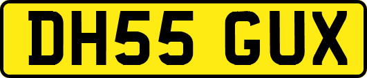 DH55GUX