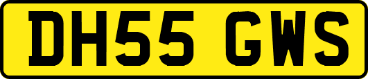 DH55GWS