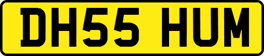 DH55HUM