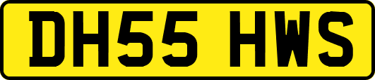 DH55HWS