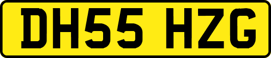 DH55HZG