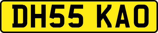 DH55KAO