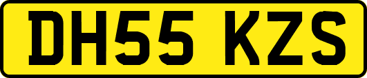 DH55KZS