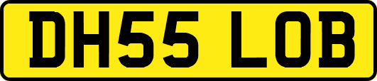 DH55LOB