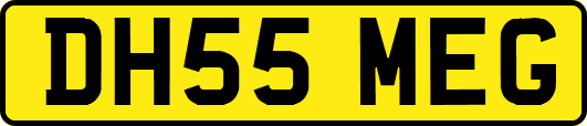 DH55MEG